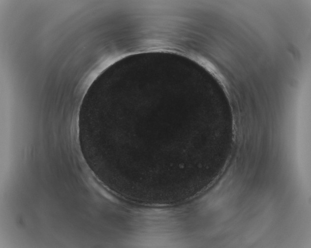 X0000114241431200911061539