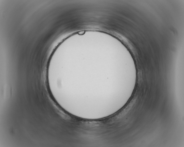 X0000114241432200911061539