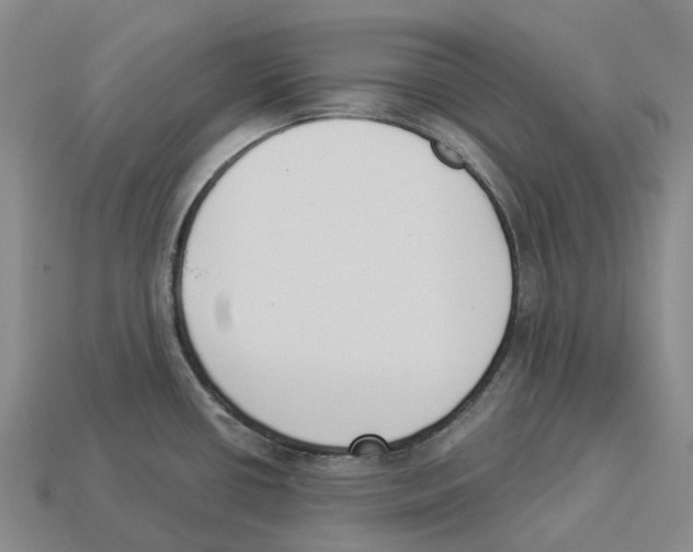 X0000114241434200911061539