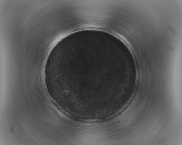 X0000114241435200911061539