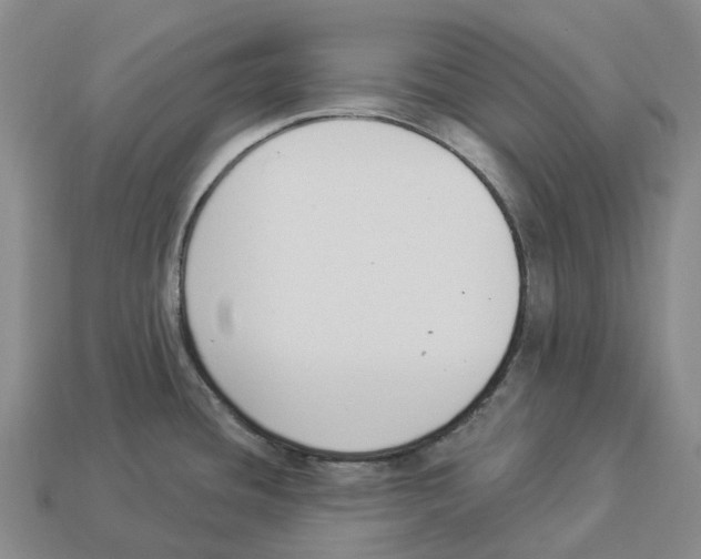 X0000114241436200911061539