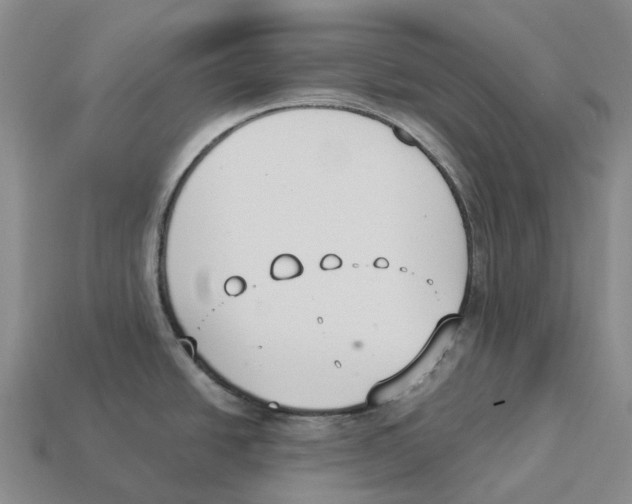 X0000114241438200911061539