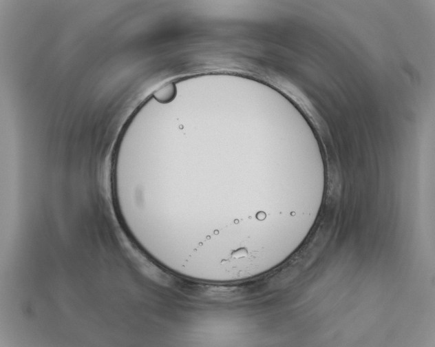 X0000114241439200911061539