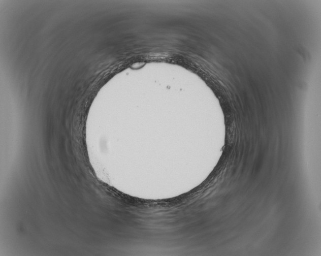 X0000114241441200911061538