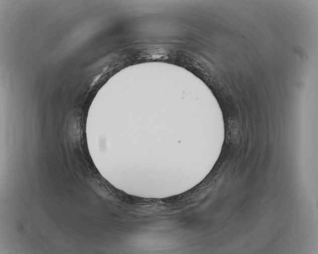 X0000114241442200911061538