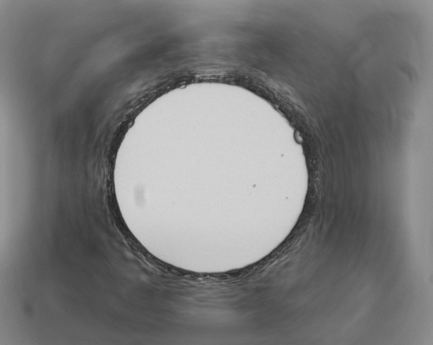 X0000114241445200911061538