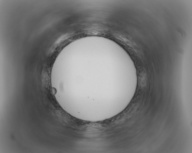 X0000114241446200911061538