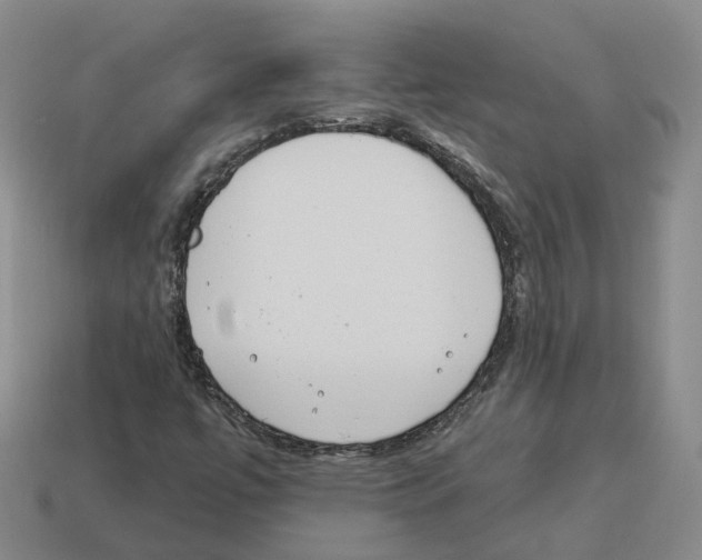 X0000114241447200911061538
