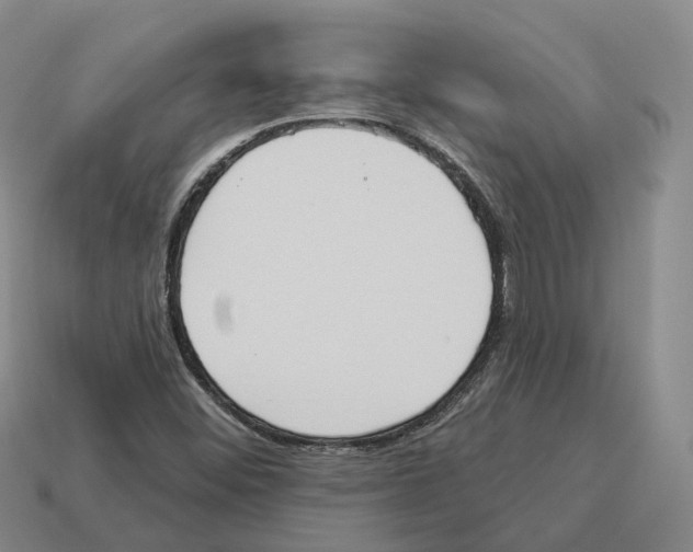 X0000114241452200911061538