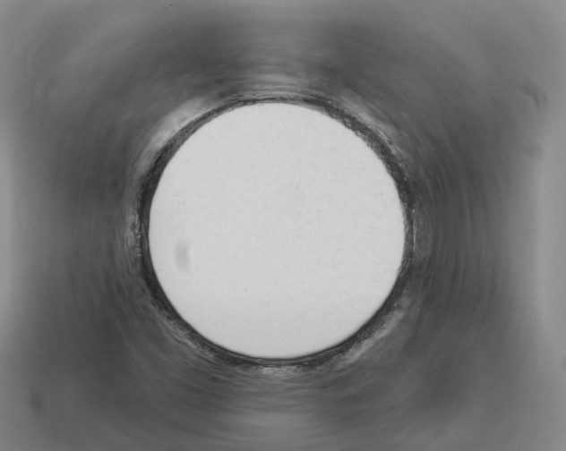 X0000114241453200911061538