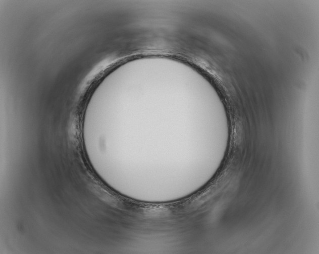 X0000114241454200911061538