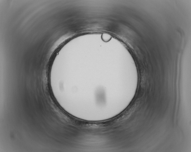 X0000114241458200911061538