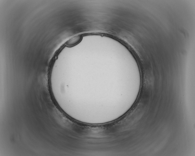 X0000114241460200911061538
