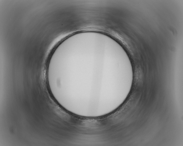 X0000114241462200911061538