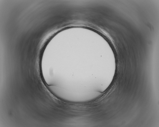 X0000114241464200911061538