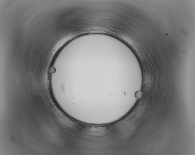 X0000114241466200911061538