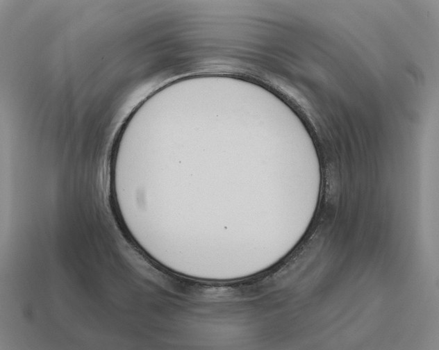 X0000114241467200911061538