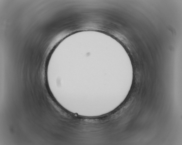 X0000114241469200911061538