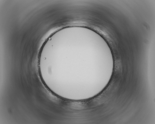 X0000114241470200911061538