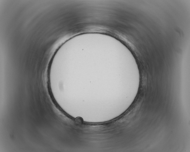 X0000114241471200911061538