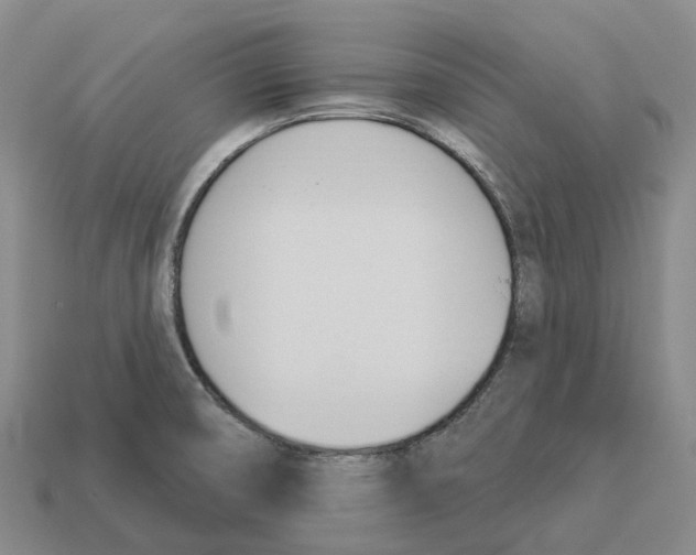 X0000114241474200911061538