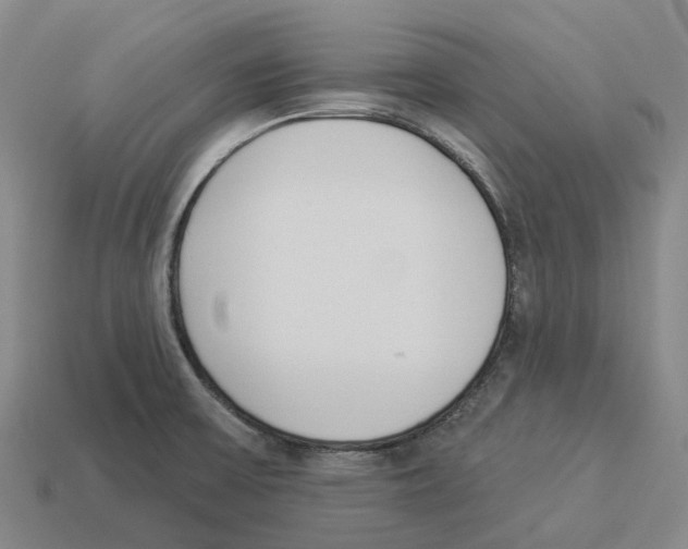 X0000114241475200911061538