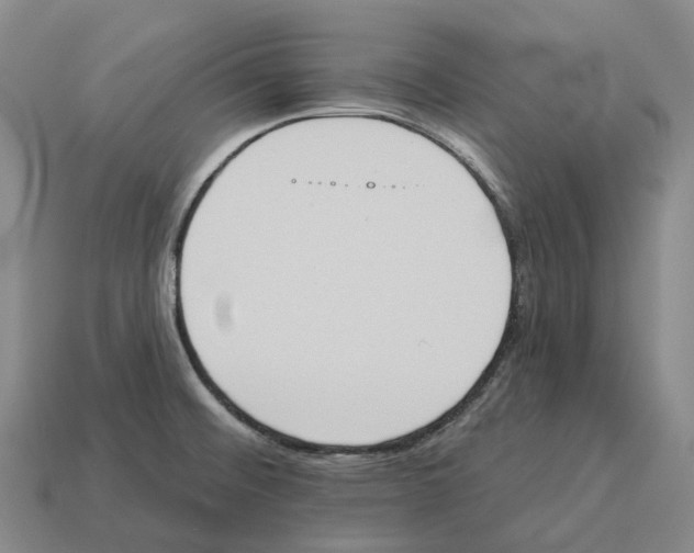 X0000114241476200911061538