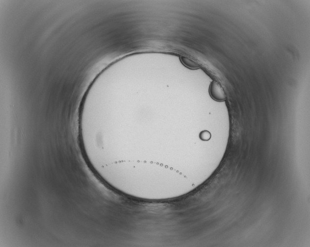X0000114241479200911061538