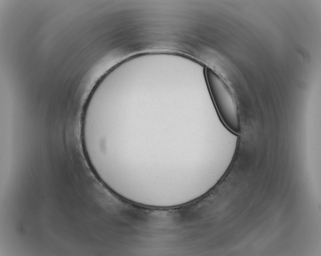 X0000114241480200911061538