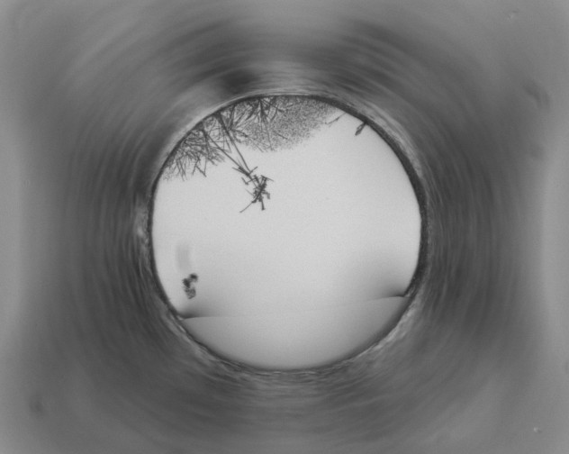 X0000114241481200911061538