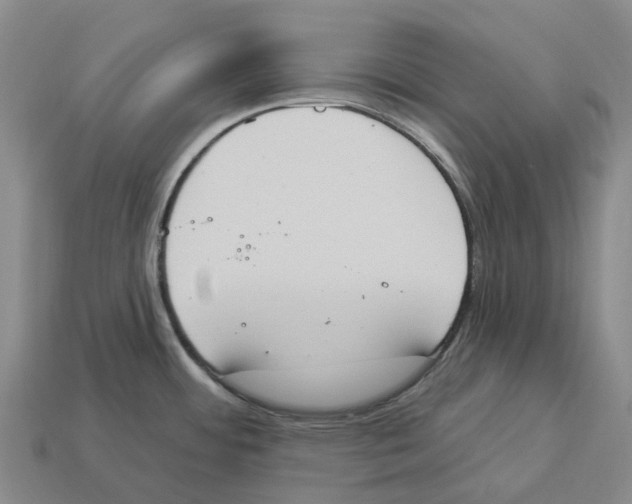 X0000114241484200911061538
