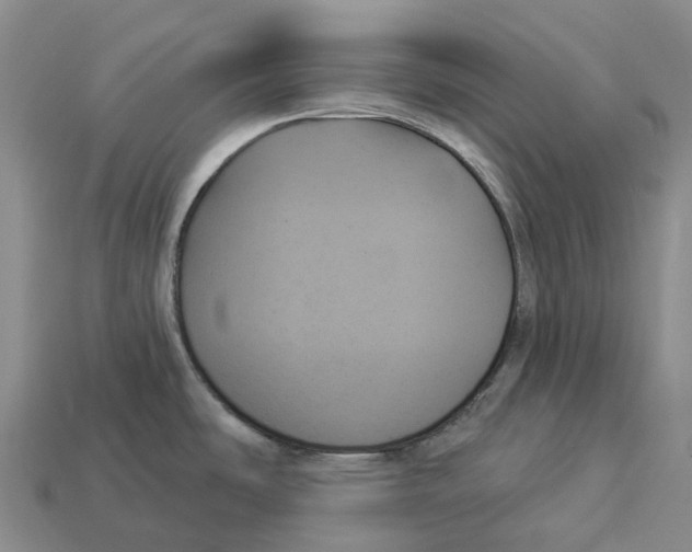 X0000114241486200911061538