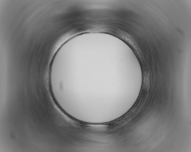 X0000114241487200911061538