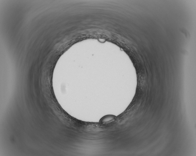X0000114241489200911061537