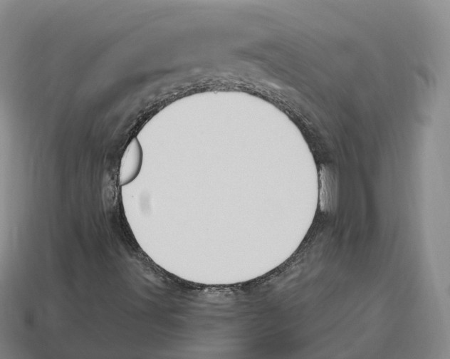 X0000114241491200911061537