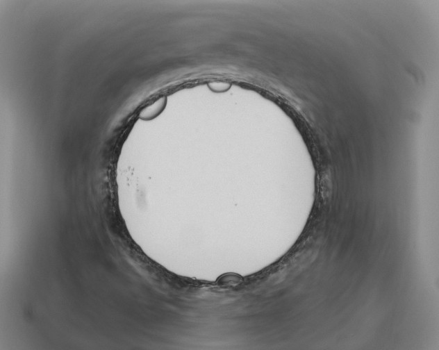 X0000114241496200911061537