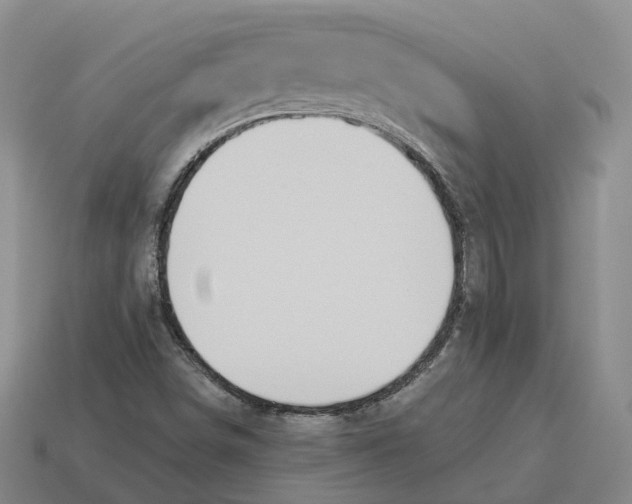 X0000114241498200911061537