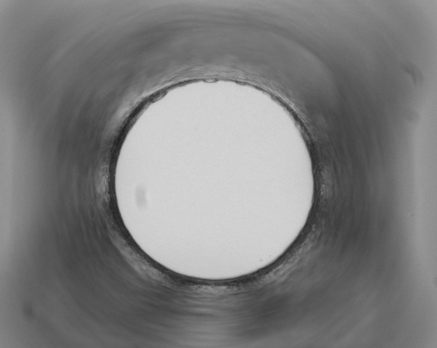 X0000114241499200911061537
