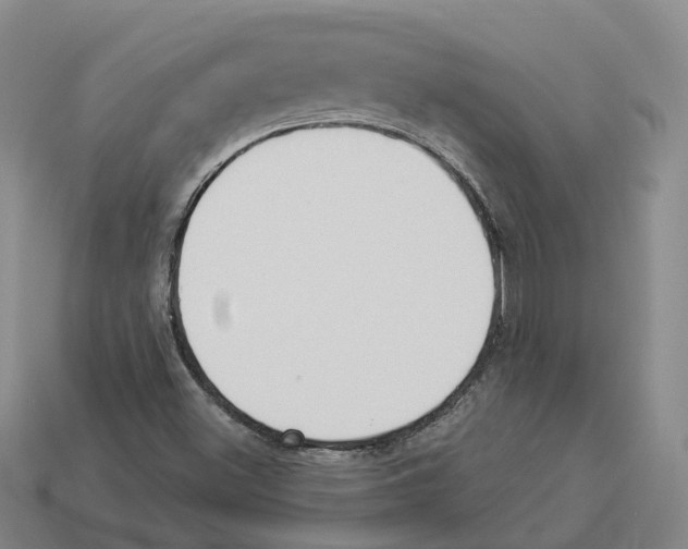 X0000114241500200911061537