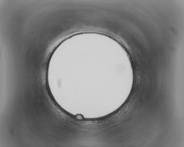 X0000114241504200911061537