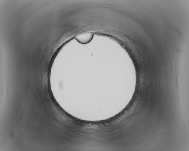 X0000114241505200911061537