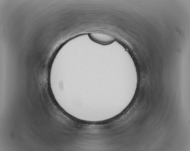 X0000114241506200911061537