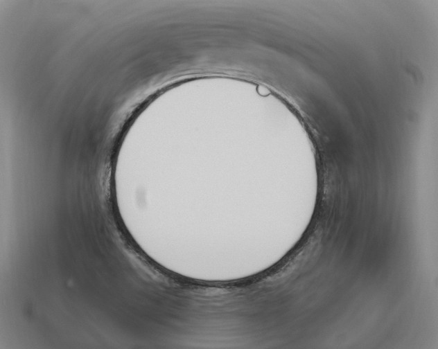 X0000114241507200911061537