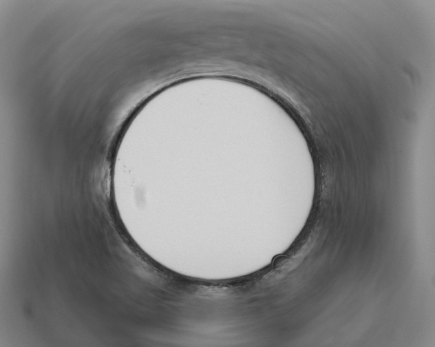 X0000114241509200911061537
