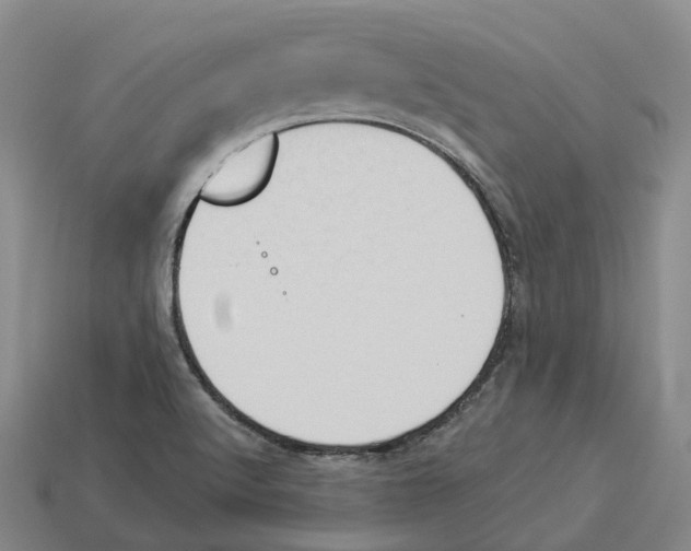 X0000114241512200911061537