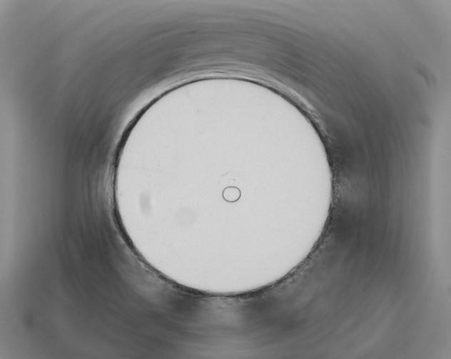 X0000114241514200911061537