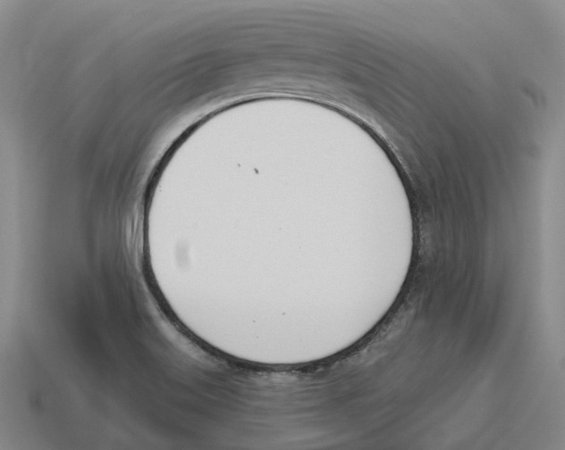 X0000114241515200911061537
