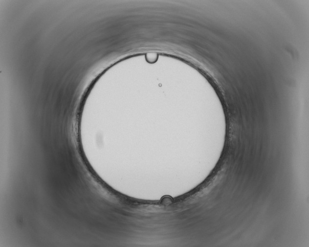 X0000114241517200911061537