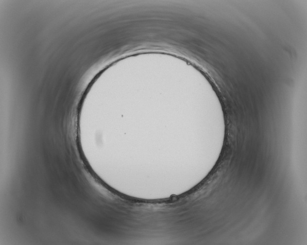 X0000114241519200911061537