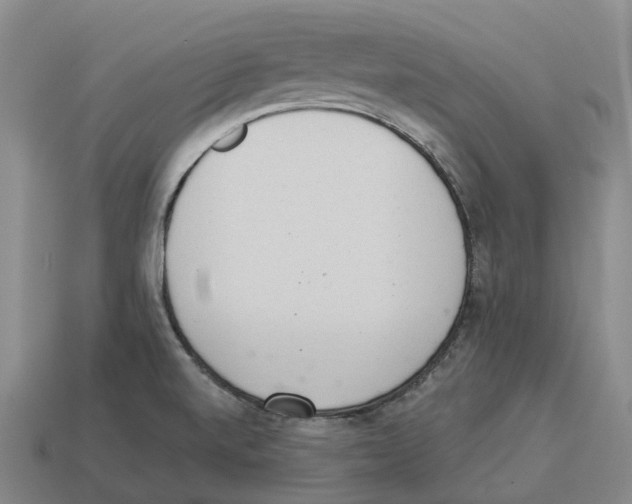 X0000114241520200911061537